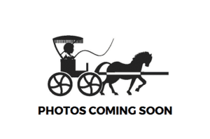 Official Horse and Chaise Logo - Photo Coming Soon