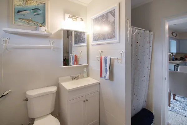 309 Shamrock Boulevard, Venice, Florida 34293, 2 Bedrooms Bedrooms, ,2 BathroomsBathrooms,Single Family Home,Seasonal Rental,Shamrock Boulevard,3046