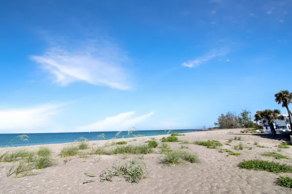 1400 Tarpon Center Dr #304, Venice, Florida 34285, 2 Bedrooms Bedrooms, ,2 BathroomsBathrooms,Condo,Seasonal Rental,Tarpon Center Dr ,3093