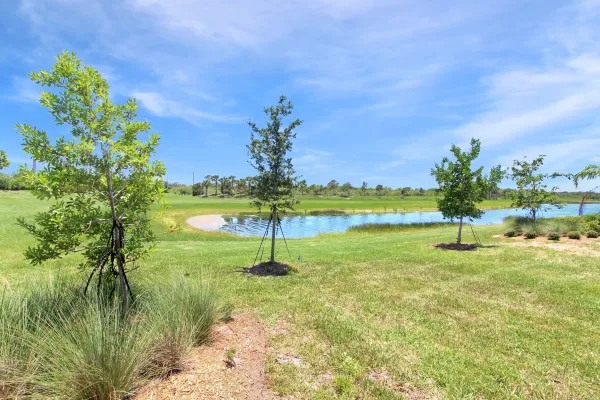 10825 Tarflower Dr #102, Venice, Florida 34293, 3 Bedrooms Bedrooms, 0 ,2 BathroomsBathrooms,Condo,Annual Rental,Tarflower Dr,3210