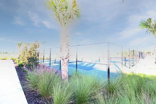 555 Sun Chaser Dr, Nokomis, Florida 34275, 4 Bedrooms Bedrooms, 0 ,2 BathroomsBathrooms,Single Family Home,Annual Rental,Sun Chaser Dr ,3228
