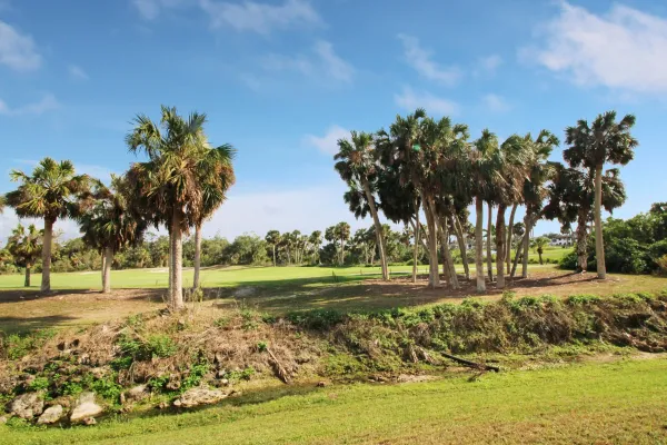 918 Capri Isles Blvd #105, Venice, Florida 34292, 2 Bedrooms Bedrooms, 0 ,2 BathroomsBathrooms,Condo,Annual Rental,Capri Isles Blvd ,3270