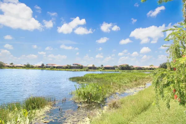 1219 Cielo Ct, Nokomis, Florida 34275, 4 Bedrooms Bedrooms, 0 ,3 BathroomsBathrooms,Single Family Home,Long Term Rentals,Cielo Ct ,3476