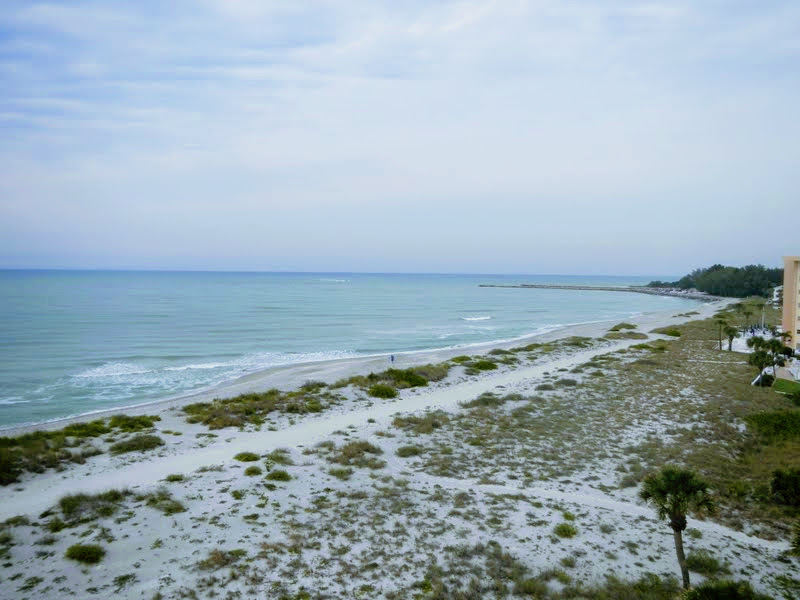 The Towers Seasonal Condo for Rent in Venice